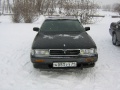 Lavrotusa_Krasnoyarsk_003.JPG