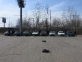 Lavrotusa_Krasnoyarsk_008.JPG