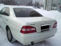 Lavrotusa-NSK-17.02-04