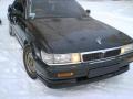 Lavrotusa-NSK-17.02-06