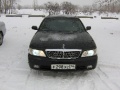 Lavrotusa_Krasnoyarsk_007.JPG
