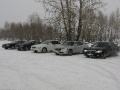 Lavrotusa_Krasnoyarsk_001.JPG