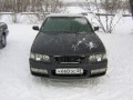 Lavrotusa_Krasnoyarsk_004.JPG