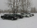 Lavrotusa_Krasnoyarsk_002.JPG