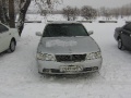 Lavrotusa_Krasnoyarsk_006.JPG